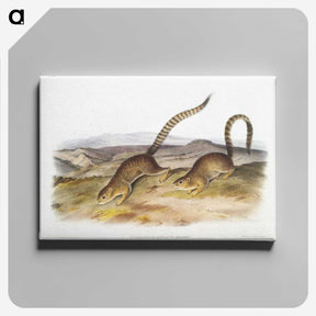 2-18_The-Viviparous-Quadrupeds_canvas