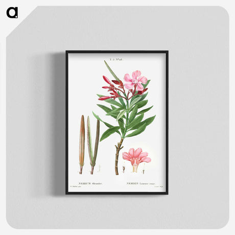 2-18_Treatise-on-Trees-and-Shrubs_blk-crop