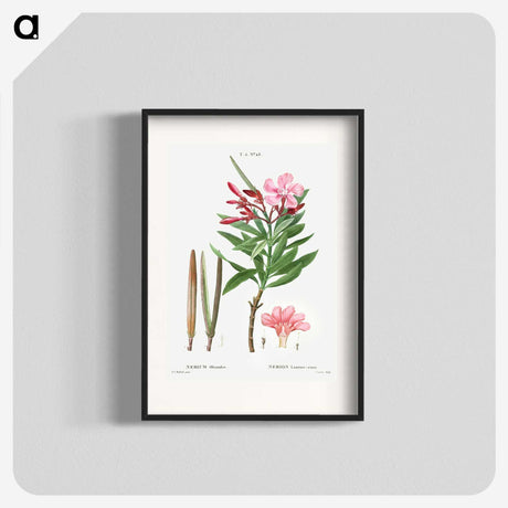 2-18_Treatise-on-Trees-and-Shrubs_blk