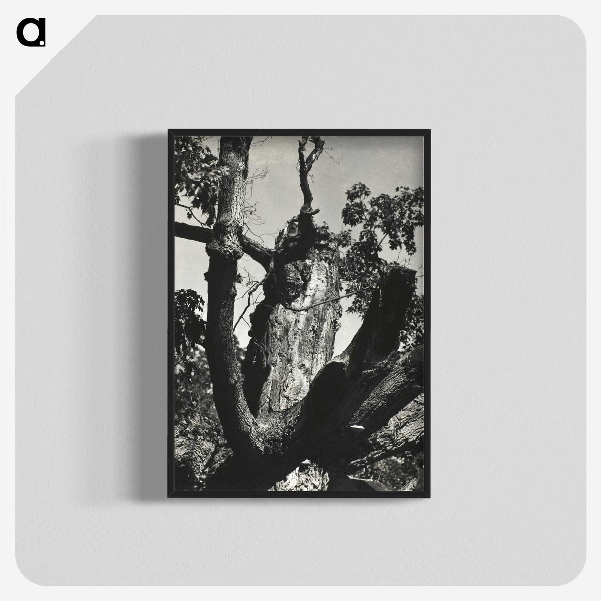 2-19_Alfred-Stieglitz_blk-crop