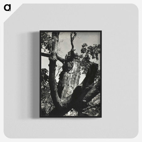 2-19_Alfred-Stieglitz_blk-crop