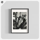 2-19_Alfred-Stieglitz_blk