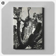 2-19_Alfred-Stieglitz_canvas