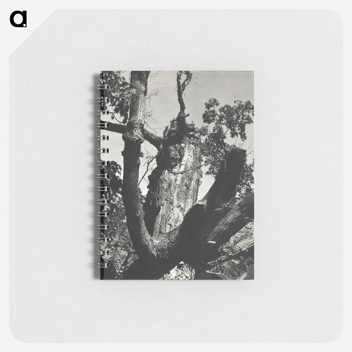 2-19_Alfred-Stieglitz_memo