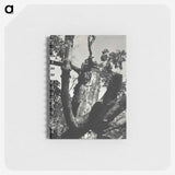 2-19_Alfred-Stieglitz_memo