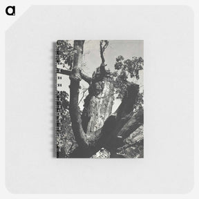 2-19_Alfred-Stieglitz_memo