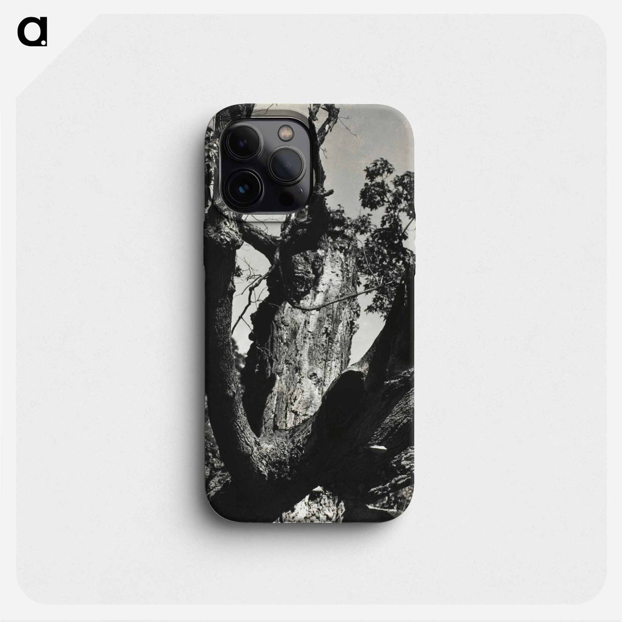 The Old Maple, Lake George - アルフレッド スティーグリッツ Phone Case.