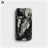 The Old Maple, Lake George - アルフレッド スティーグリッツ Phone Case.