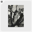 2-19_Alfred-Stieglitz_postcard