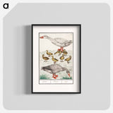 Farm goose or a house goose - アンセルムス ボエティウス デ ブート Poster.
