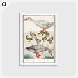 アートポストカード-Farm goose or a house goose - アンセルムス ボエティウス デ ブート Postcard.