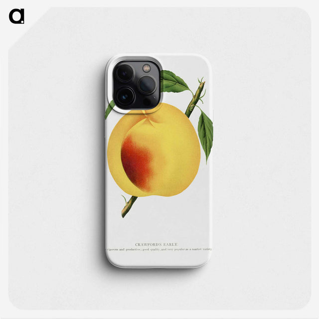 2-19_Botanical-Specimen-Plates_phone