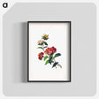 アートポスター-Sweet William Flower, from Poets in the Garden
 - 大英図書館 Poster.