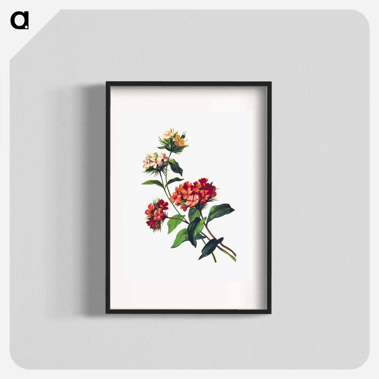 アートポスター-Sweet William Flower, from Poets in the Garden
 - 大英図書館 Poster.