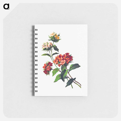 アートメモ帳-Sweet William Flower, from Poets in the Garden
 - 大英図書館 Memo.