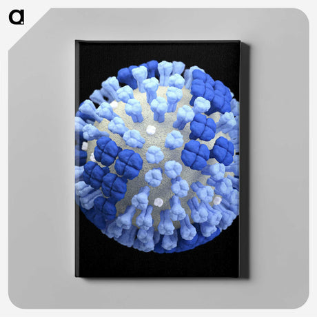 2-19_COVID-19_canvas