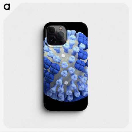 2-19_COVID-19_phone