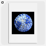 2-19_COVID-19_picture