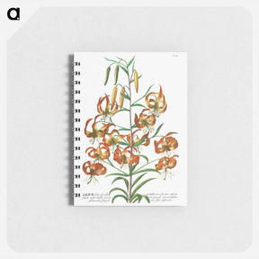 アートメモ帳-Lily
 - クリーブランド美術館 Memo.