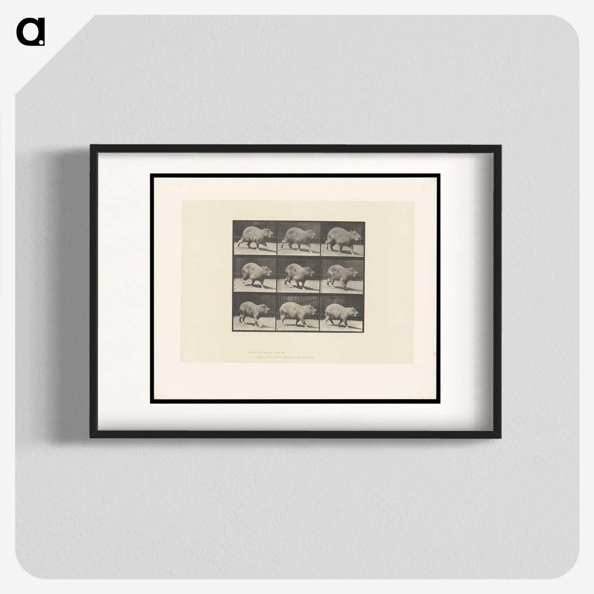 2-19_Eadweard-Muybridge_blk