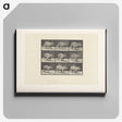 2-19_Eadweard-Muybridge_canvas