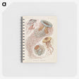 2-19_Ernst-Haeckel_memo