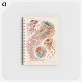 アートメモ帳-Marine life illustration - エルンスト ヘッケル Memo.