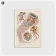 2-19_Ernst-Haeckel_postcard