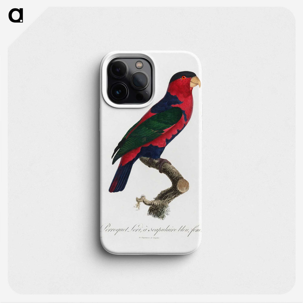 2-19_Francois-Levaillant_phone