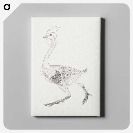 2-19_George-Stubbs_canvas