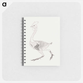 アートメモ帳-Fowl Body, Lateral View
 - ジョージ スタッブス Memo.