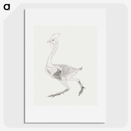 2-19_George-Stubbs_picture