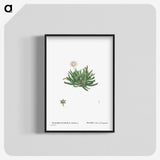 2-19_Histoire-des-Plantes-Grasses_blk-crop