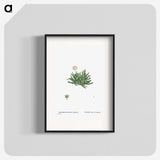 2-19_Histoire-des-Plantes-Grasses_blk