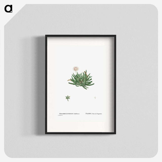 2-19_Histoire-des-Plantes-Grasses_blk