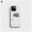 2-19_Histoire-des-Plantes-Grasses_phone