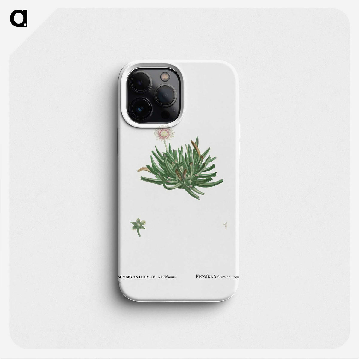 2-19_Histoire-des-Plantes-Grasses_phone