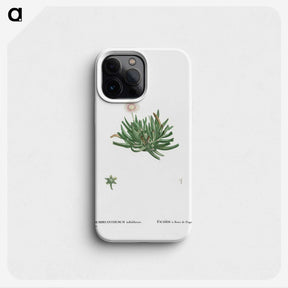 2-19_Histoire-des-Plantes-Grasses_phone
