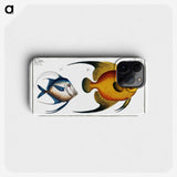 2-19_Ichtyologie-ou-Histoire-naturelle_phone
