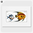 2-19_Ichtyologie-ou-Histoire-naturelle_picture
