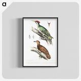 2-19_Indian-Zoology_blk-crop