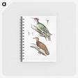 2-19_Indian-Zoology_memo