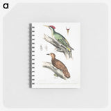 2-19_Indian-Zoology_memo