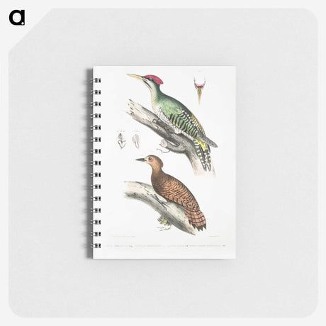 2-19_Indian-Zoology_memo