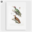 2-19_Indian-Zoology_picture