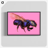 2-19_Insects-Unlocked-Project_blk-crop
