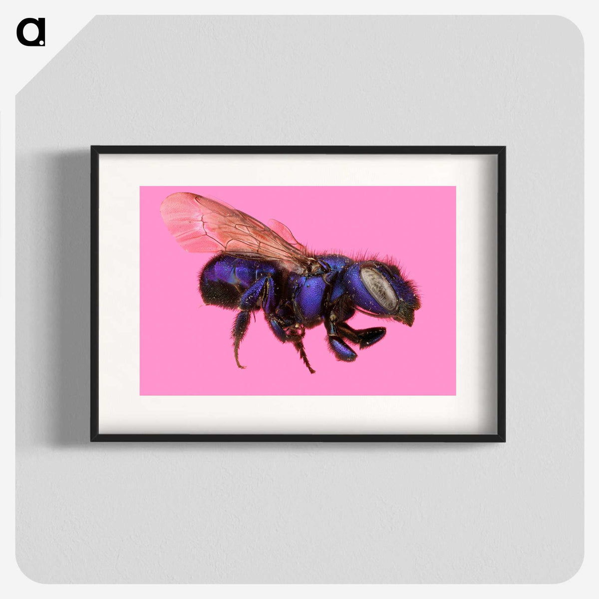2-19_Insects-Unlocked-Project_blk