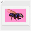 2-19_Insects-Unlocked-Project_picture
