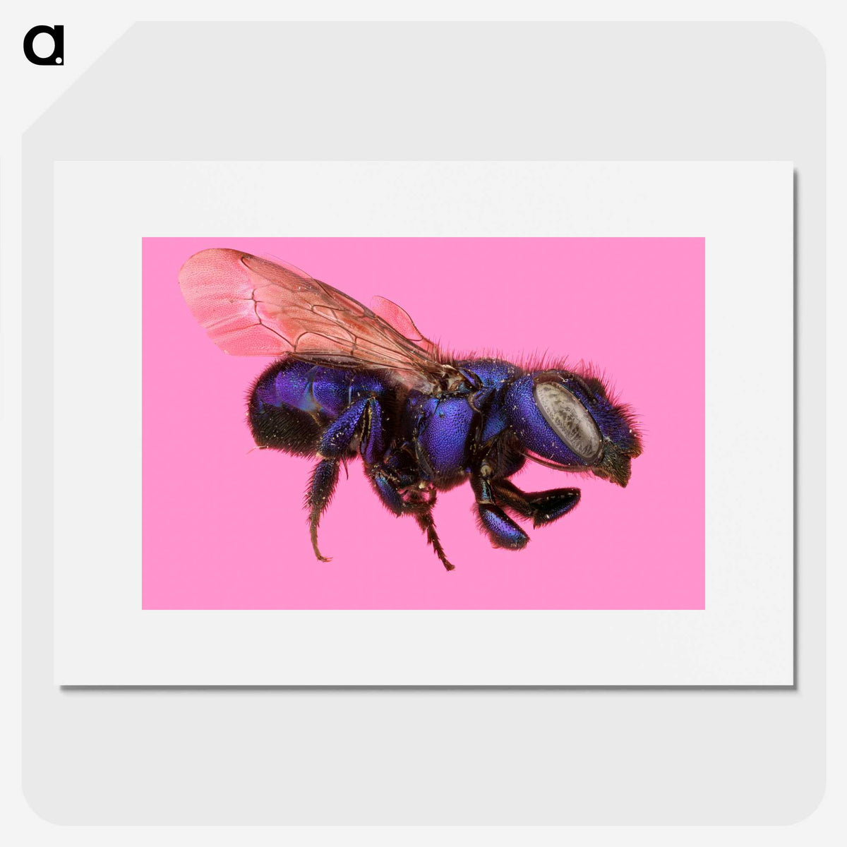 2-19_Insects-Unlocked-Project_picture