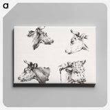 アートパネル-Four bull heads - ジャン ベルナール Canvas.